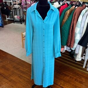 Lumiere Blue Long Sleeve Button Down Dress
